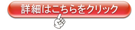 �L���A�_���g�T�C�g�@��r�@���C��